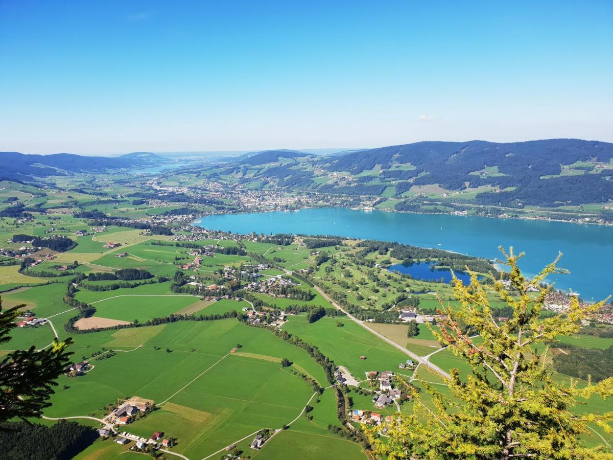 Ferienwohnung Lindpointner Innerschwand Εξωτερικό φωτογραφία